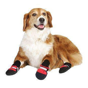 Botas para Animais de Estimação en color naranja y negro, diseñadas para la comodidad y protección de mascotas.