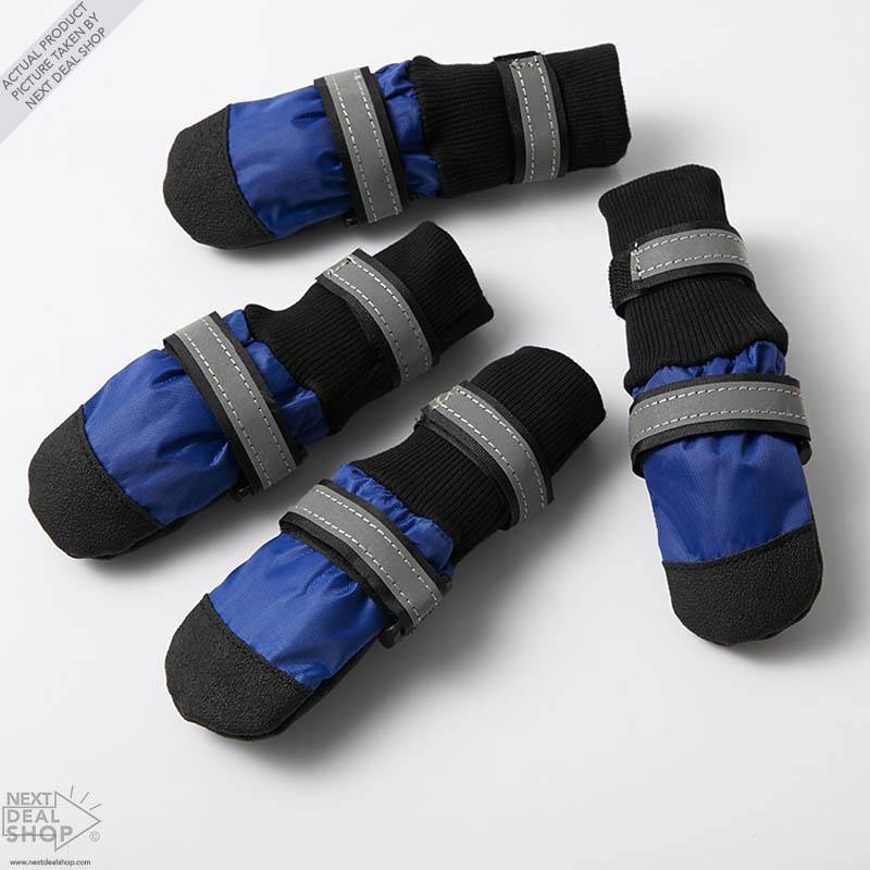 Botas para Animais de Estimação azules para proteger las patas de tu mascota